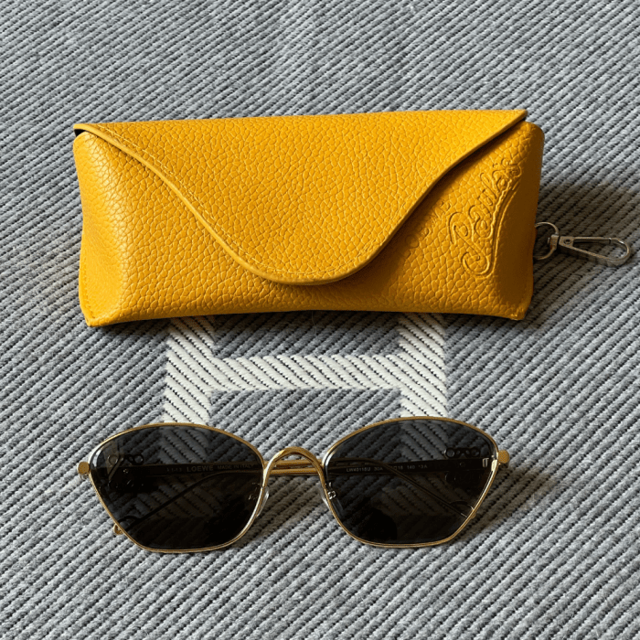 Loewe Summer Sunglasses for Women Luxury Designer Shades UV Protection & Fashion Eyewear 2025