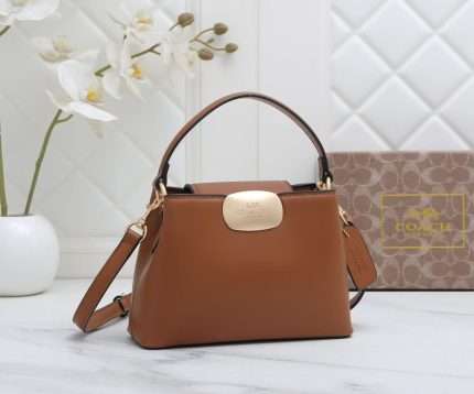 Coach Bag Brown Leather 24x20x10cm
