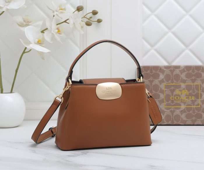 Coach Bag Brown Leather 24x20x10cm