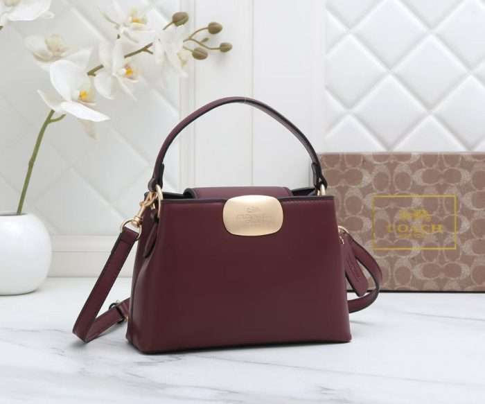 Coach Bag Maroon Leather 24x20x10cm