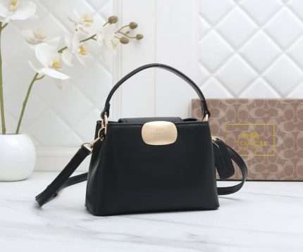 Coach Bag Black Leather 24x20x10cm