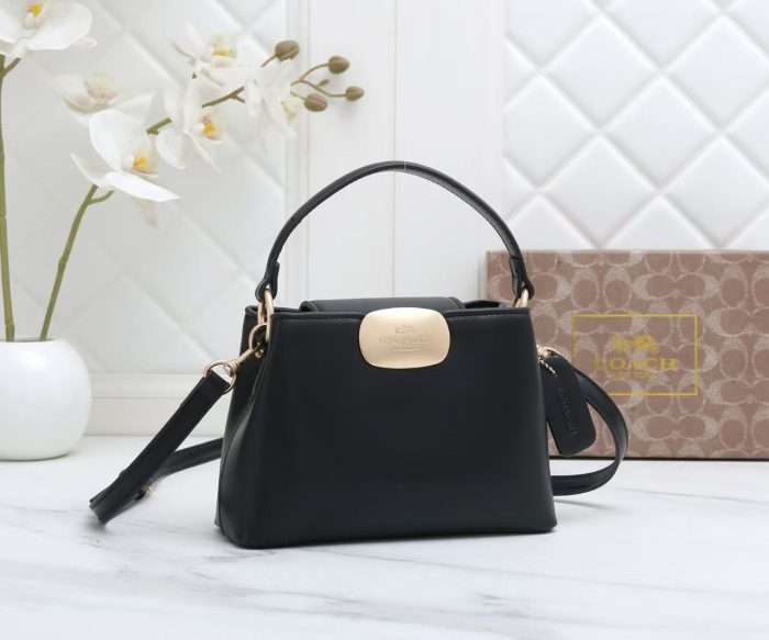 Coach Bag Black Leather 24x20x10cm