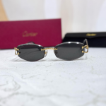 Cartier mans collection fashion 2025 Sunglass