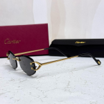 Cartier mans collection fashion 2025 Sunglass